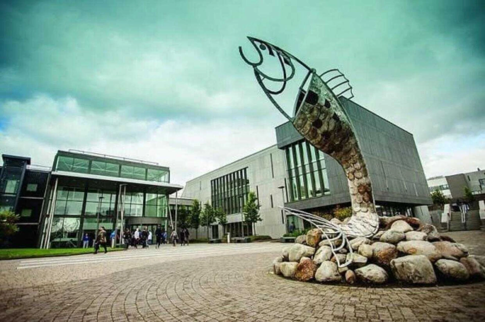 Institute of Technology Sligo Ireland: Best Ireland Technical Universities