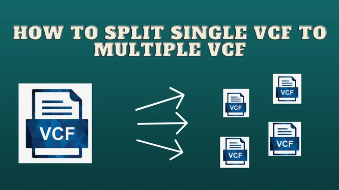 How to Divide VCF Record into Various Documents?