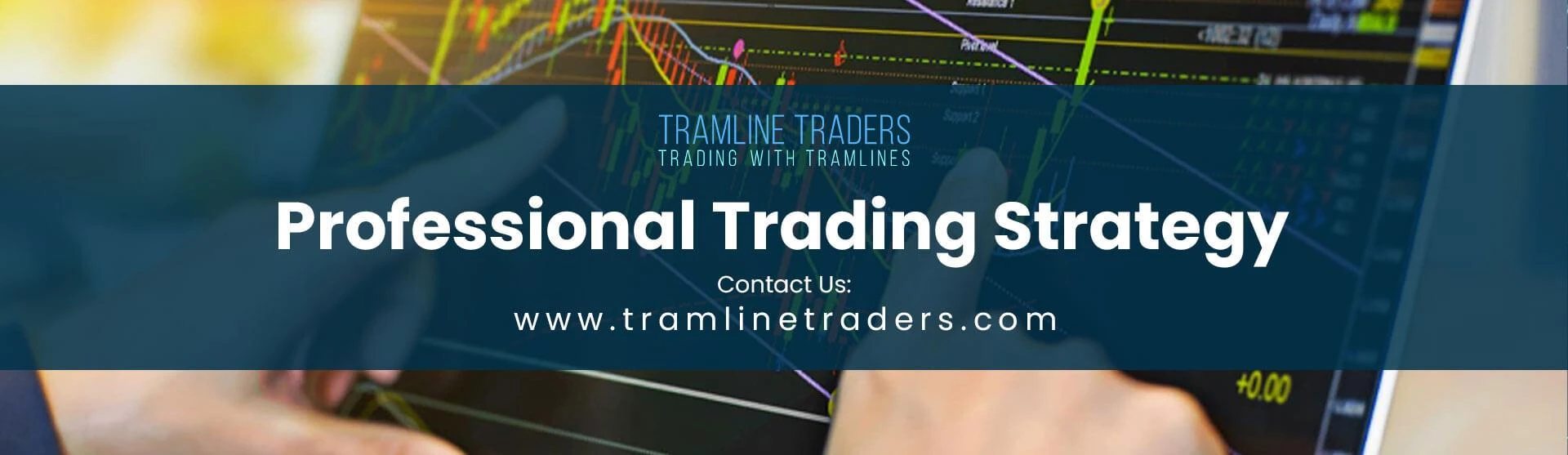Professional Trading Strategy In United States