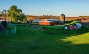 Increase Market Value of Your Property with the Help of a Professional Appraiser