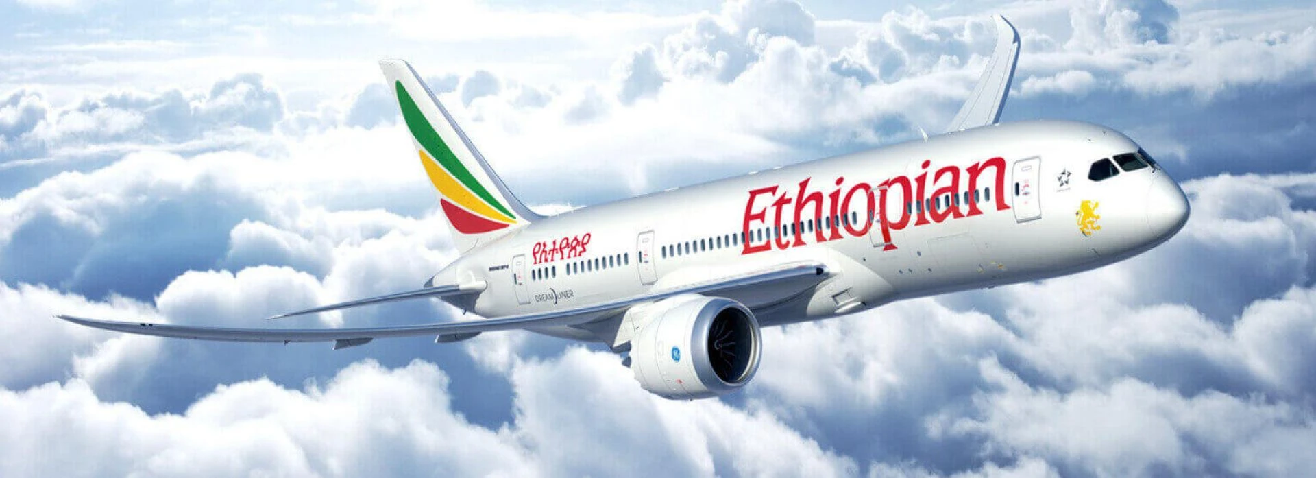 Ethiopian airlines rules and regulations