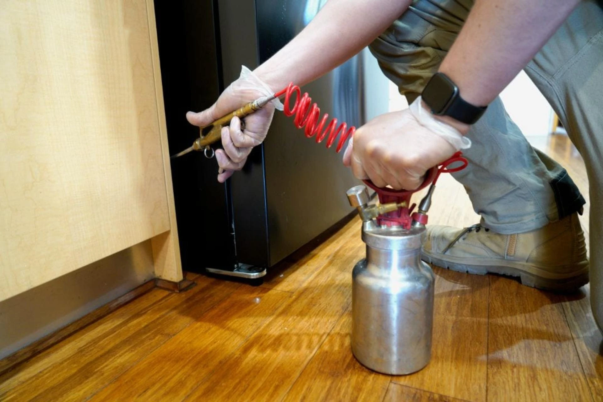 Fundamentals of Eco-Friendly Pest Control