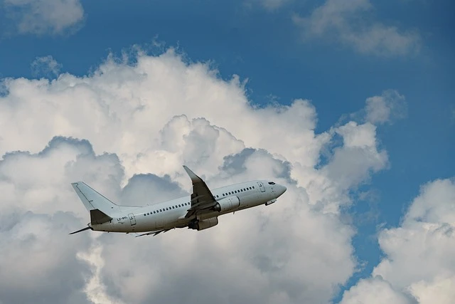 Czech Airlines Flight Cancellation Process