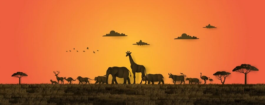 Explore Kenya Safari with Africa Paradise Adventures Tour Packages