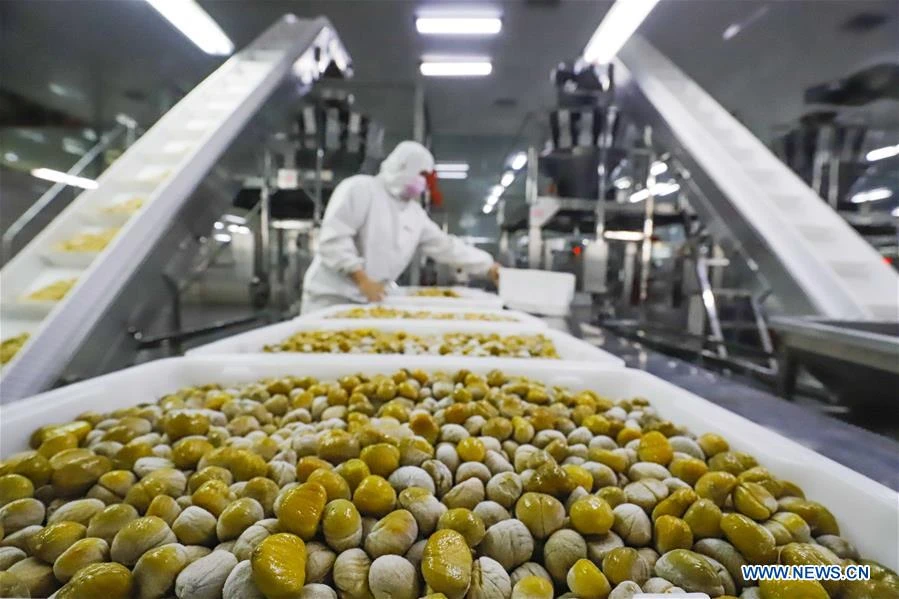 Chestnut Processing Plant Project Report 2023: Industry Trend and Business Plan | IMARC Group