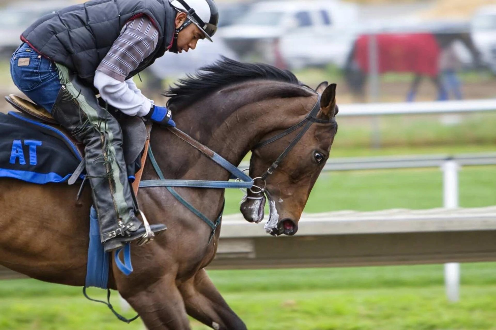 Analyzing the Numbers: A Statistician's Take on Horse Racing Picks