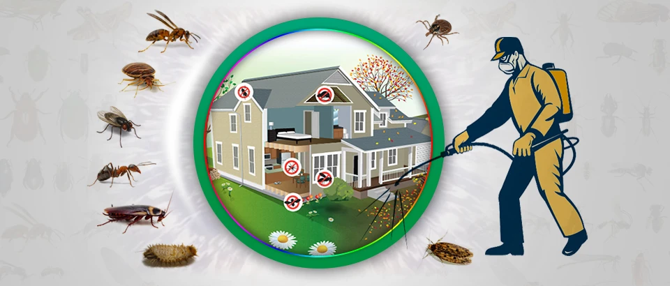 What are the different types of pest control services offered by Al Ameen Pest Control?