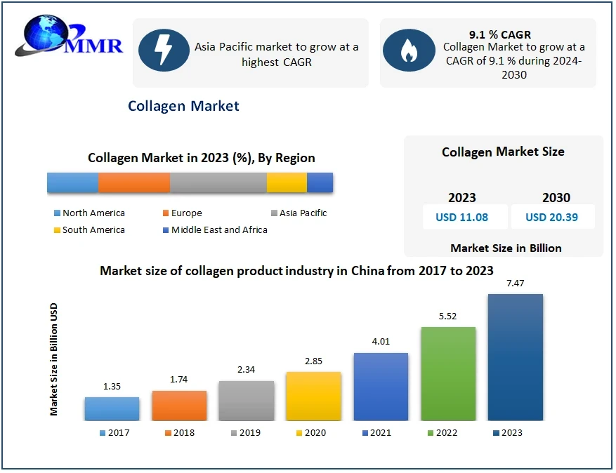 Collagen Market Industry Analysis, Outlook and Forecast 2030