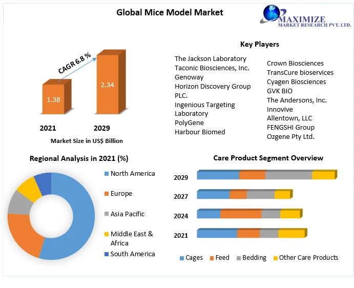 Mice Model Market Industry Analysis, Growth Factors, By Solution Type, End user, Application, And Forecast 2029