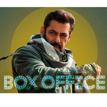 Bollywood Box Office Collection 2024 Report &amp; Verdict India