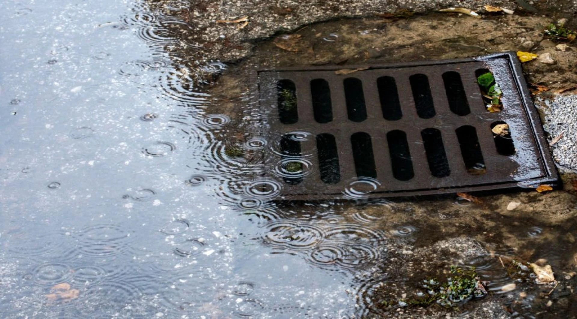 Blocked Drains in Fareham: A Comprehensive Guide