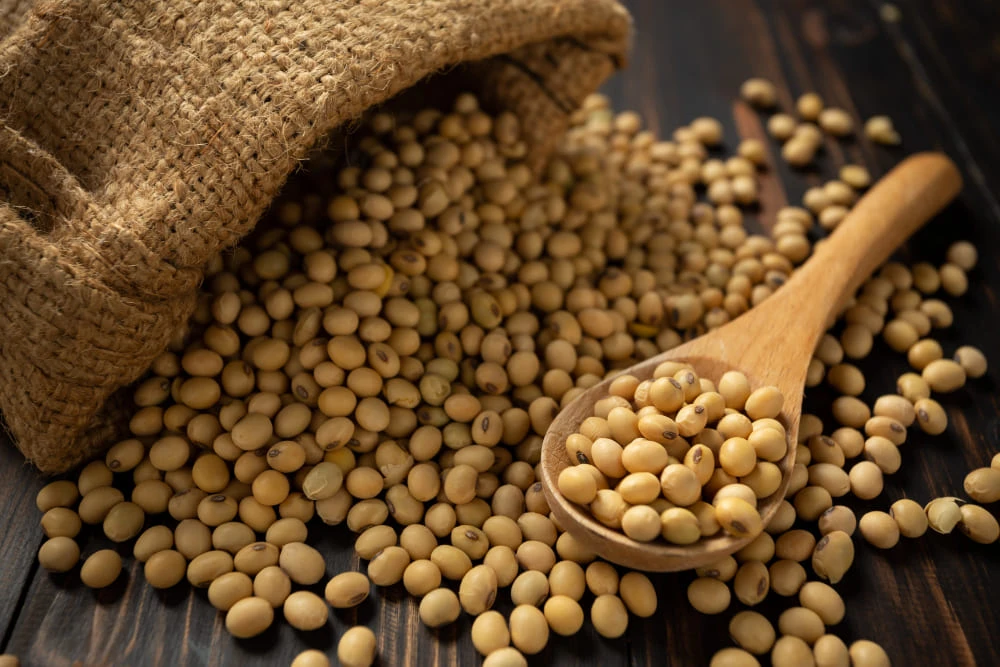Why Is Soybean Oil Procurement Important for PriceVision?