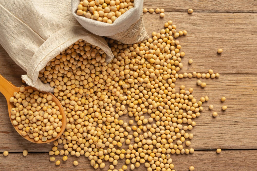 Commodity Market and Soybean Price