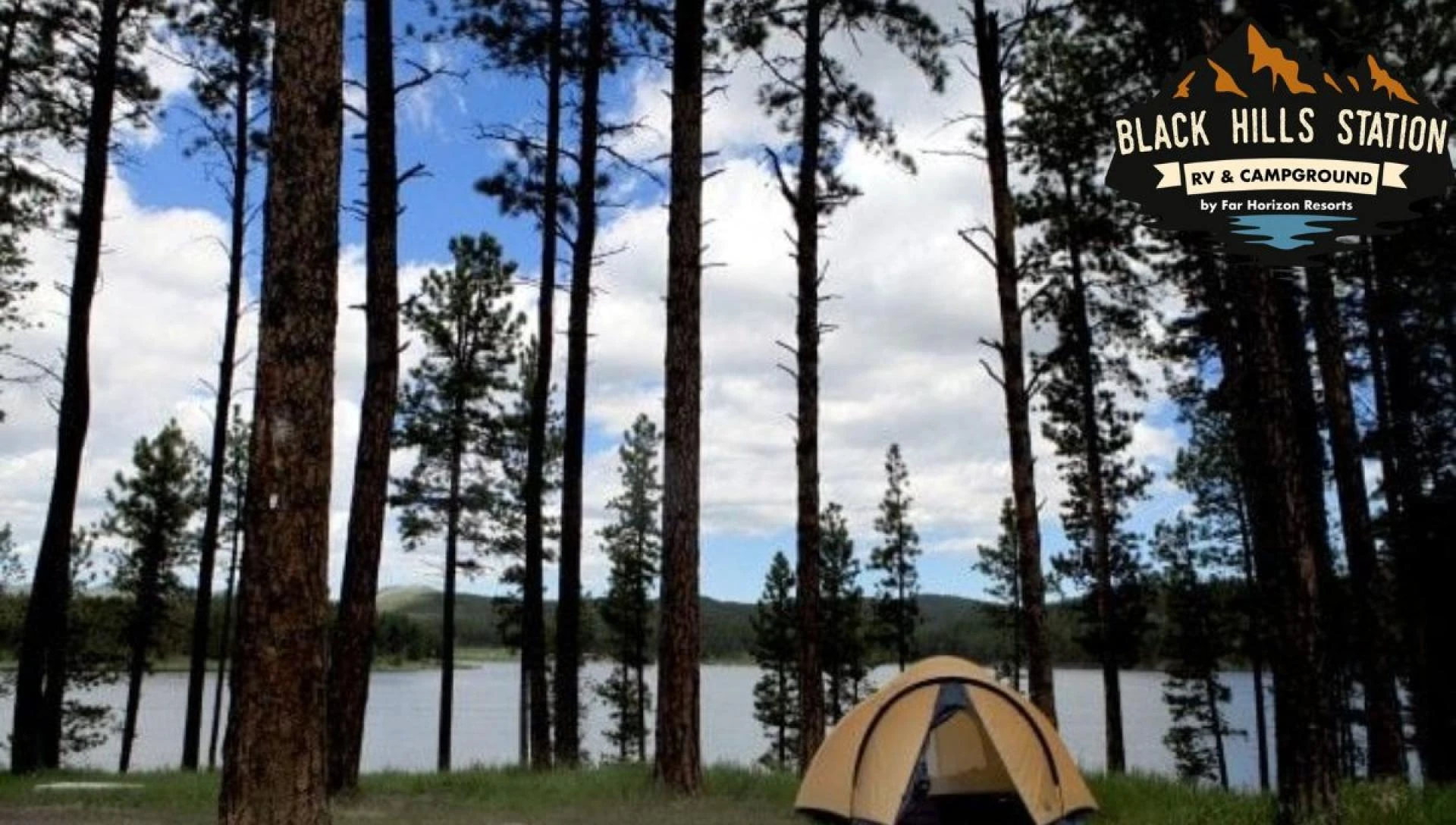 Discovering Diversity of Birdwatching at Piedmont Campground