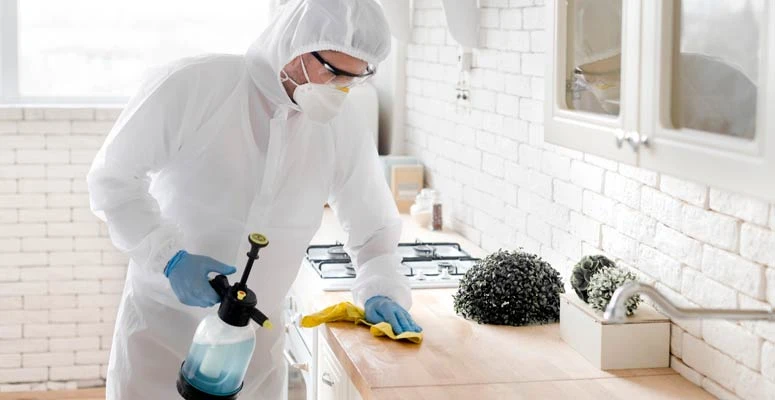 COMMON DISEASES SPREAD BY ANTI TERMITE IN DUBAI &amp; HOW TO CONTROL THEM