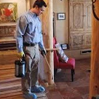 Which is The Best Pest Control Company To Rely On?