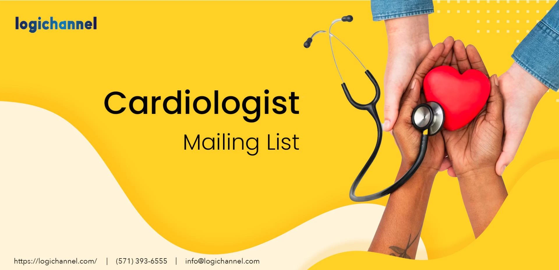 Cardiologist Email List | Cardiologists Email List