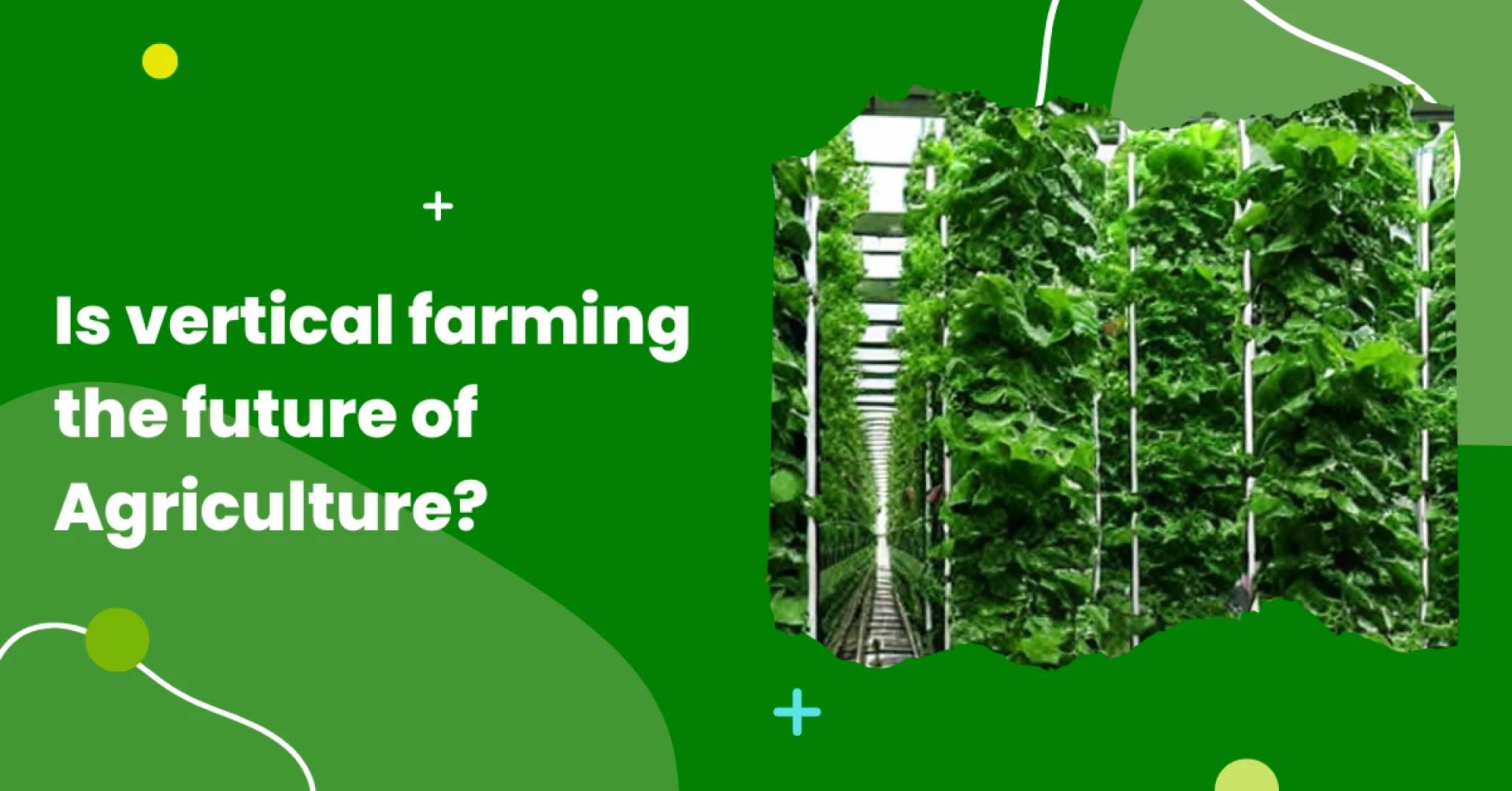 Is vertical farming the future of agriculture?