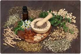 Personal Care &amp; Cosmetics Category to Lead India Herbal Products Market till 2024