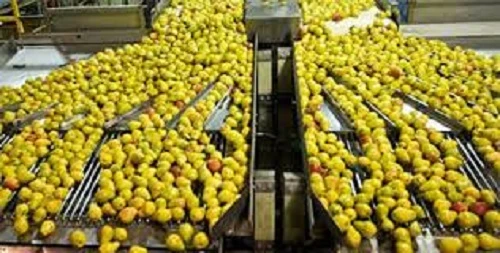 Saudi Arabia Fruit &amp; Vegetables Processing Market Size, Trends, Report, Forecast 2027