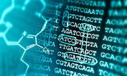 United States Bioinformatics Market to Grow with Impressive CAGR until 2027