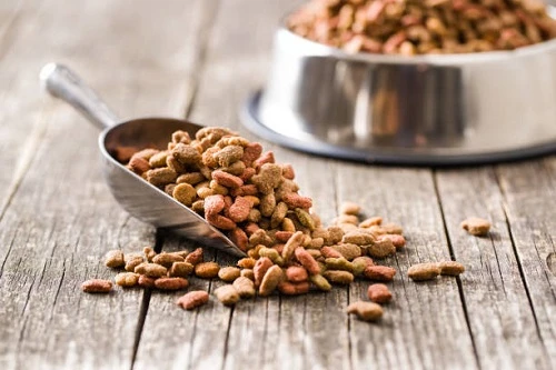 India Pet Food Market to Lead Due to Rising Pet Adoption in the Country