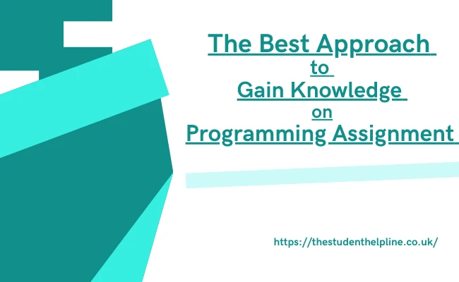 The Best Approach to Gain Knowledge on Programming Assignment