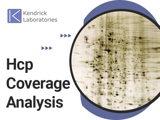 Common Misconceptions About HCP Coverage