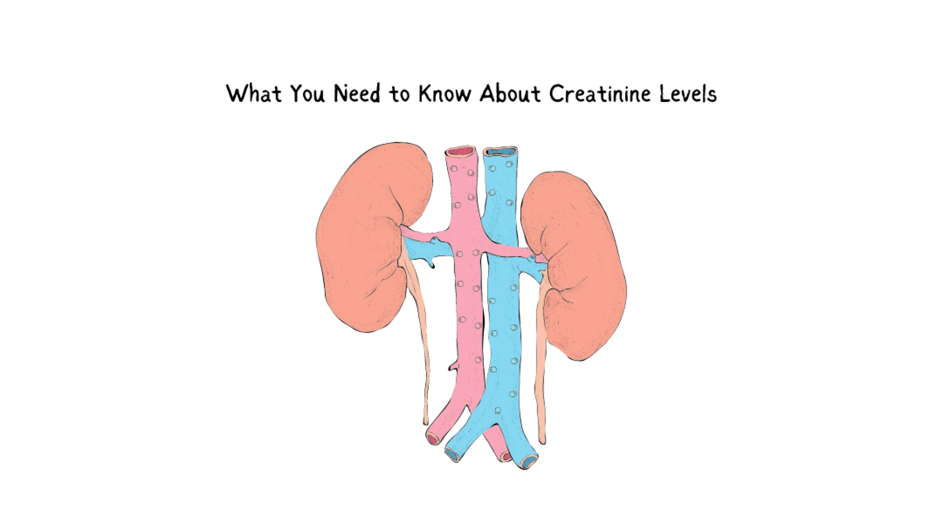 What You Need to Know About Creatinine Levels
