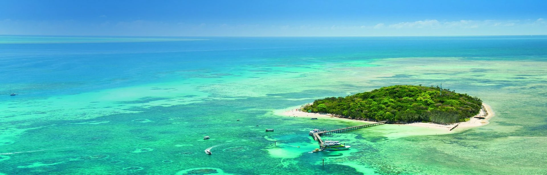 Double Adventure with Cairns Cruises - Explore the Reef Wonders &amp; Witness the Rainforest Magic!