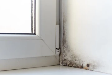 How to Treat Rising Damp on Walls