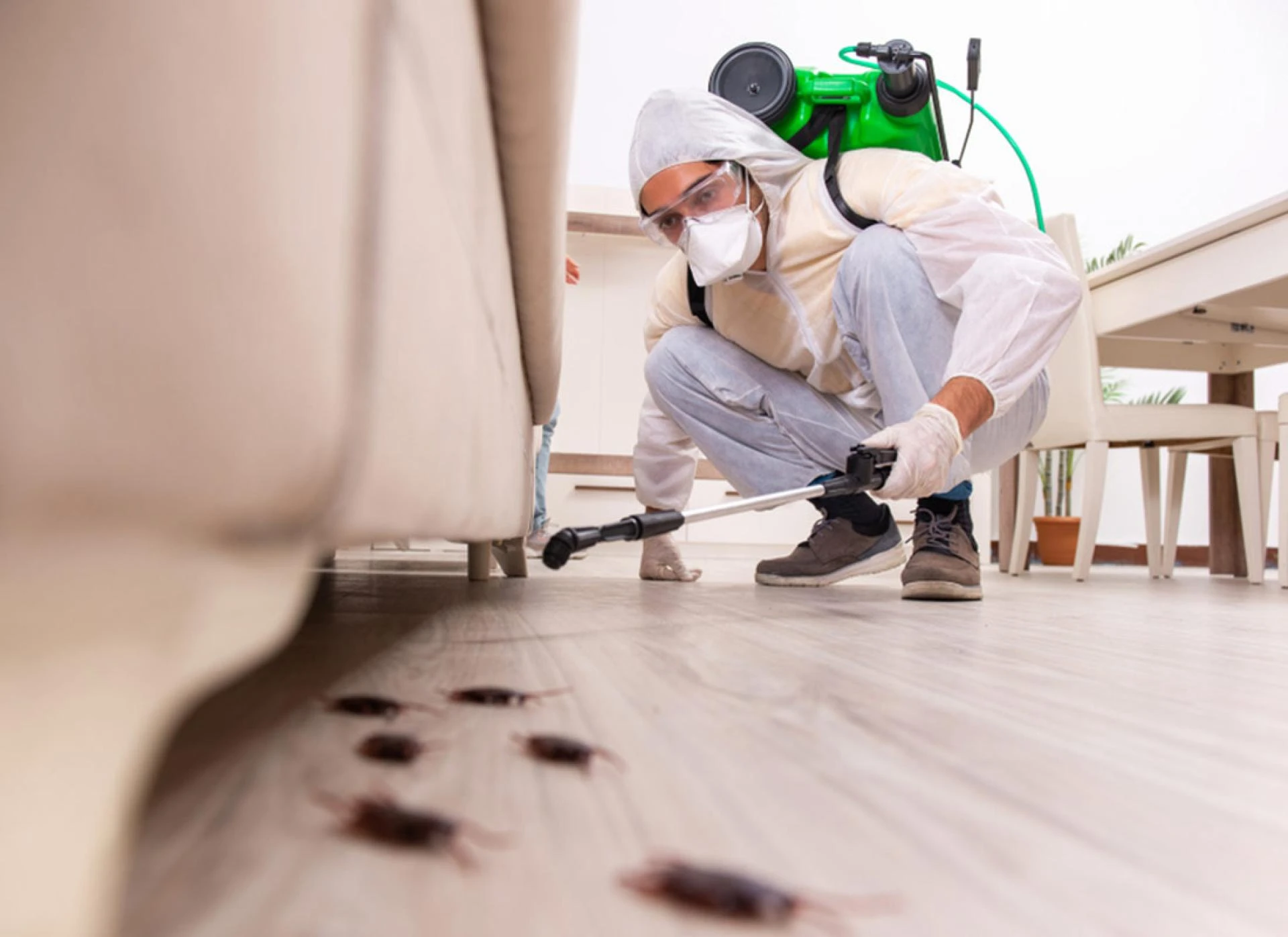 In what situations should you hire a pest exterminator?