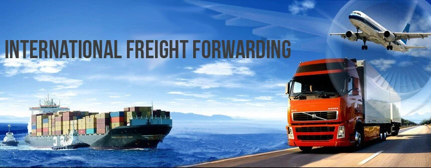 Unlocking Growth with Freight Forwarding Excellence: Success Stories and Strategies