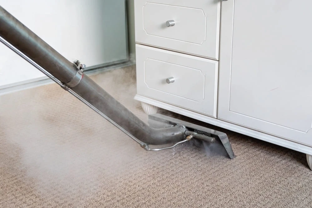 The Ultimate Guide to Hot Water Extraction Carpet Cleaning: Everything You Need to Know
