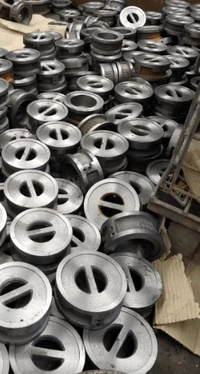 Check Valve Manufacturer