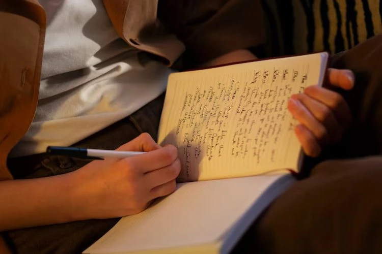 The Guide For Beginners To Literature Dissertation Writing In Kuwait