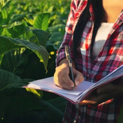What are the Top Agriculture Dissertation Writing Services in Al Ahmadi?