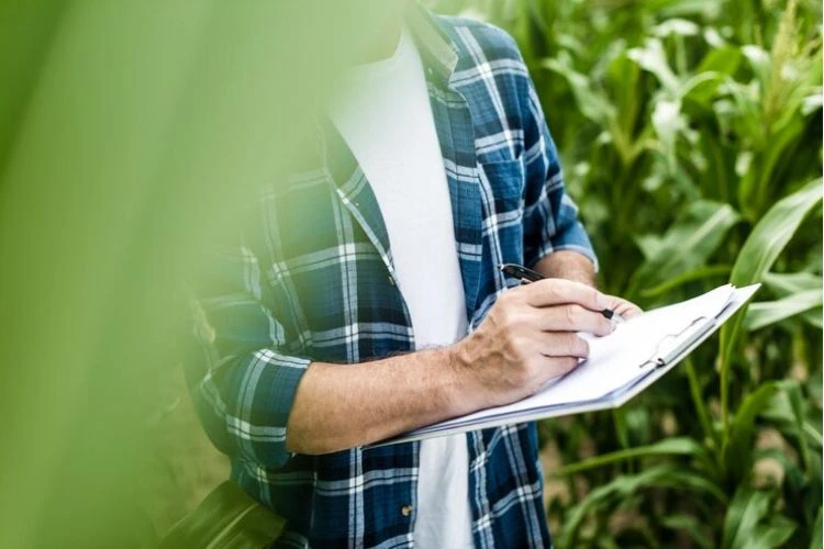 How to Write an Outstanding Agriculture Dissertation in Luxembourg?