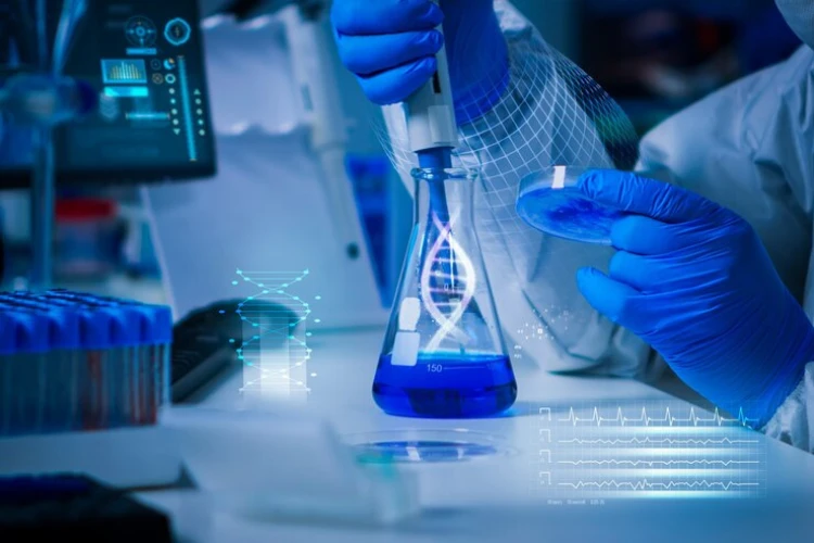 Common Mistakes to Avoid in Your Life Sciences Thesis or Dissertation in Prague