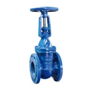 Water Gate valve Manufacturer in India