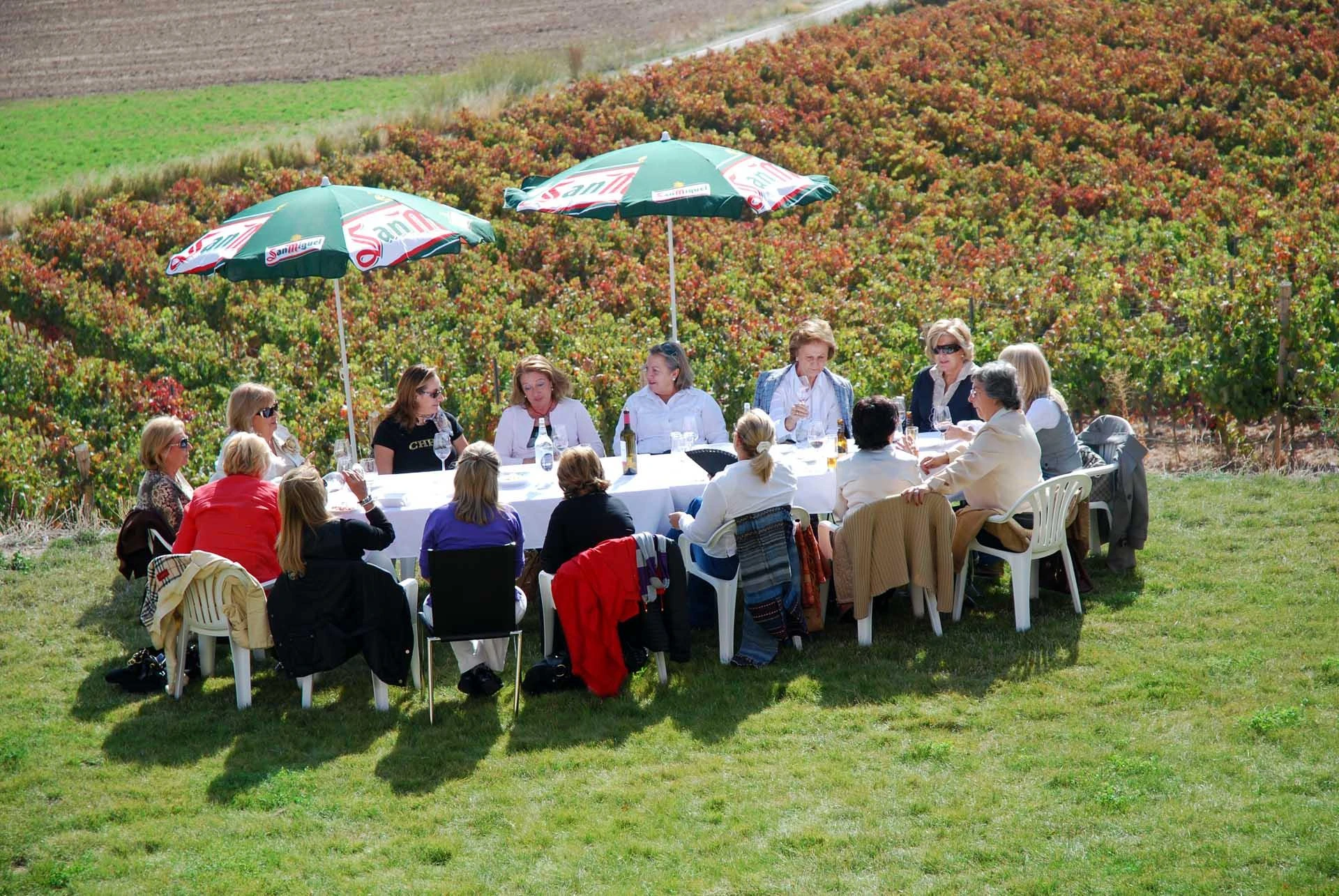 Enoturismo en la Ribera del Duero un Viaje para los Amantes del Vino