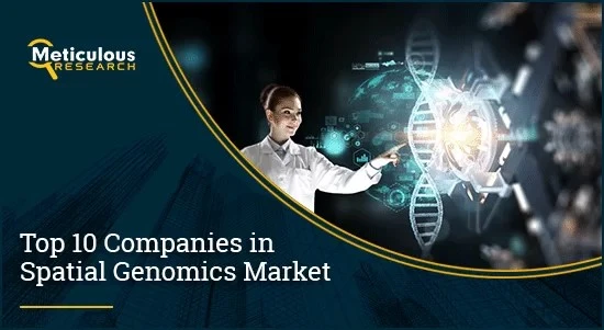 Leading the Way: The Top 10 Companies Revolutionizing Spatial Genomics