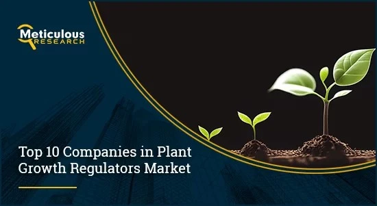 Growing Greener: Top 10 Companies in the Plant Growth Regulators Market