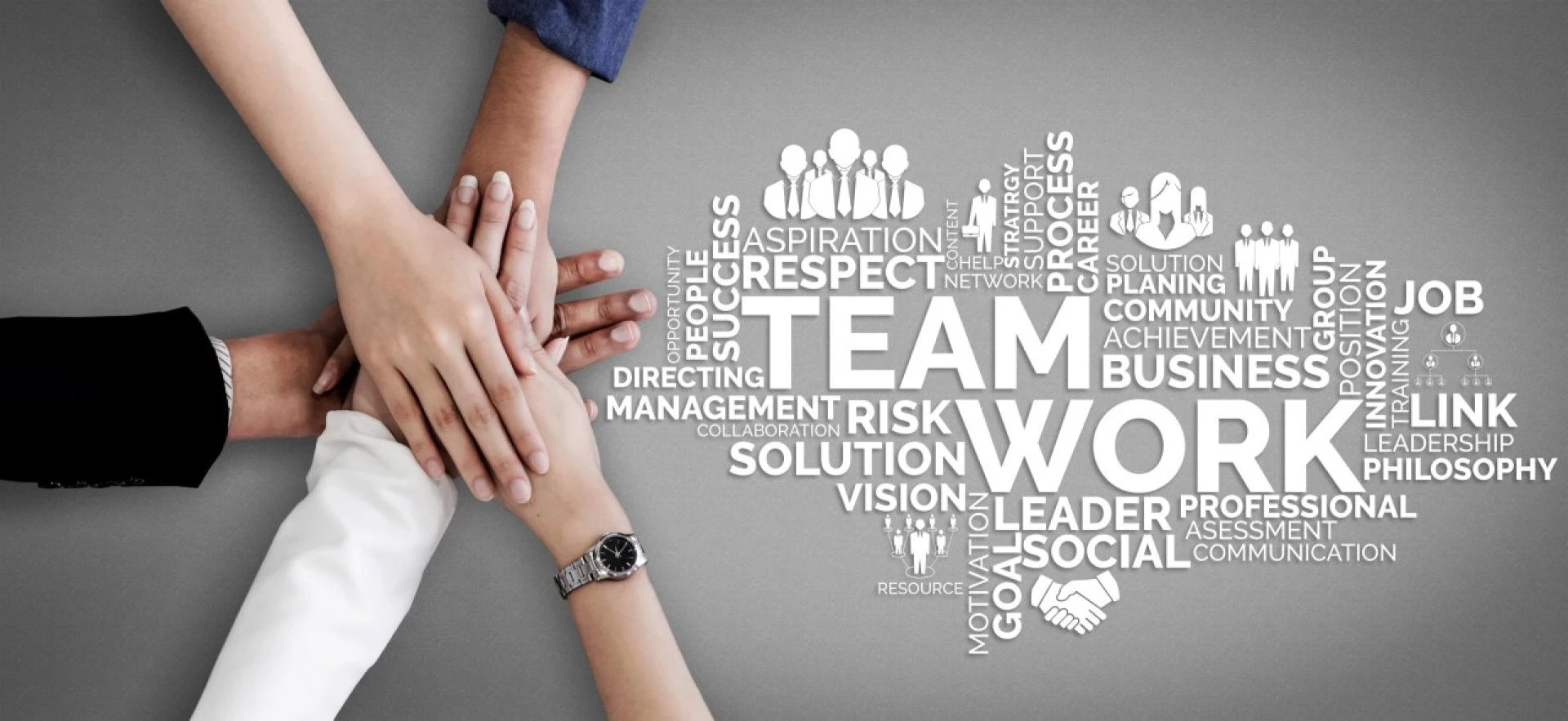 The Collective Advantage Leveraging Teamwork Makes the Dream Work