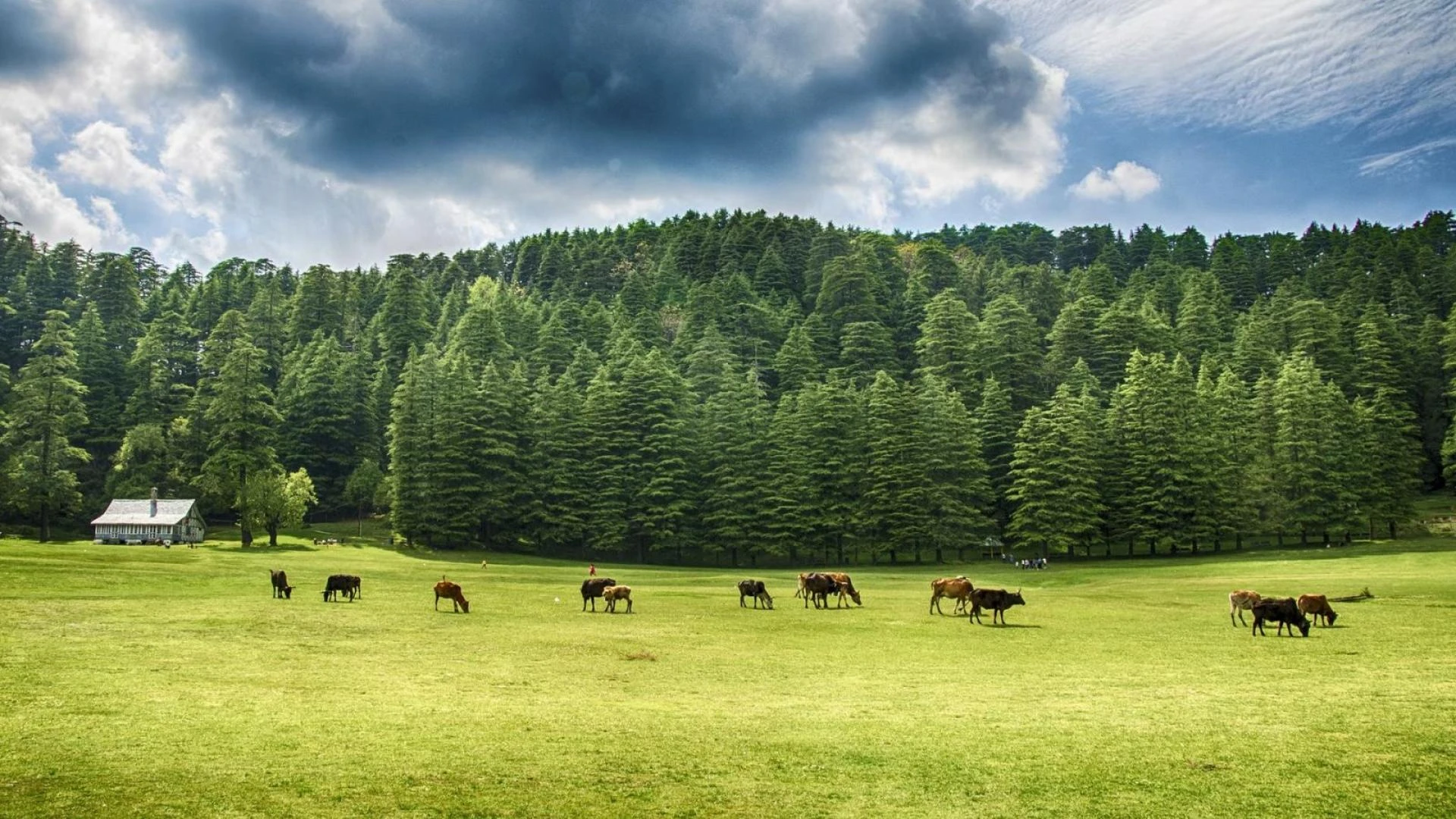 Explore the Enchanting Beauty of Dalhousie: Your Ultimate Travel Guide