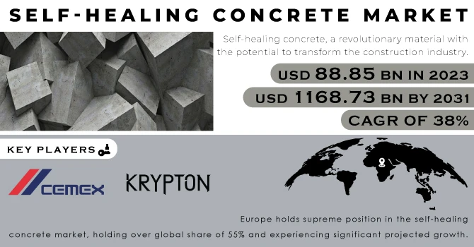 Self-healing Concrete Market, Regional Analysis and Future Scope Report 2024-2031