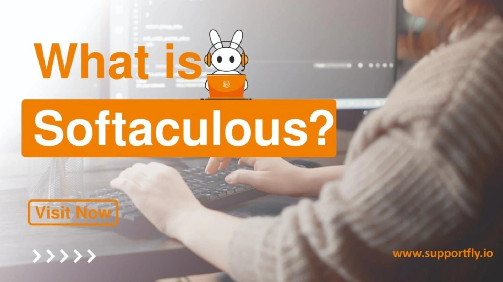 What Is Softaculous?