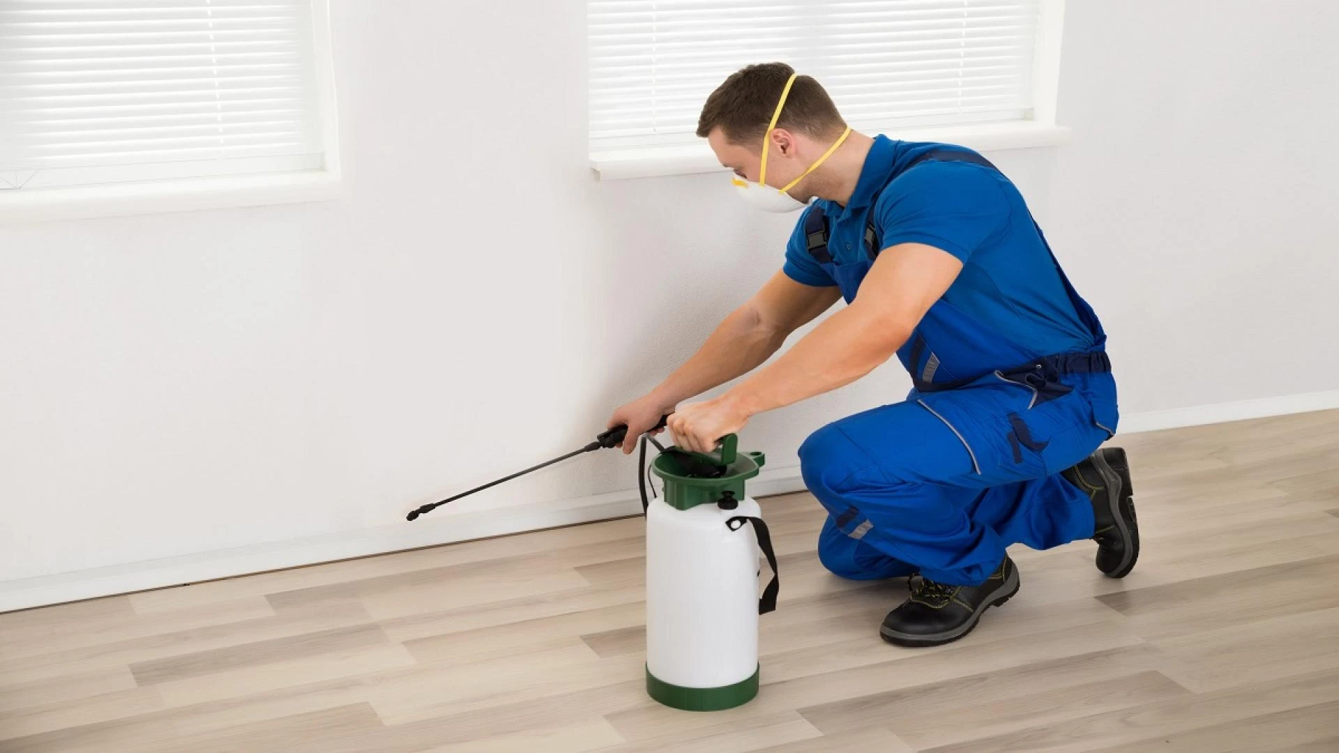 Why You Should Hire the Best Pest Control Companies New York Has to Offer?