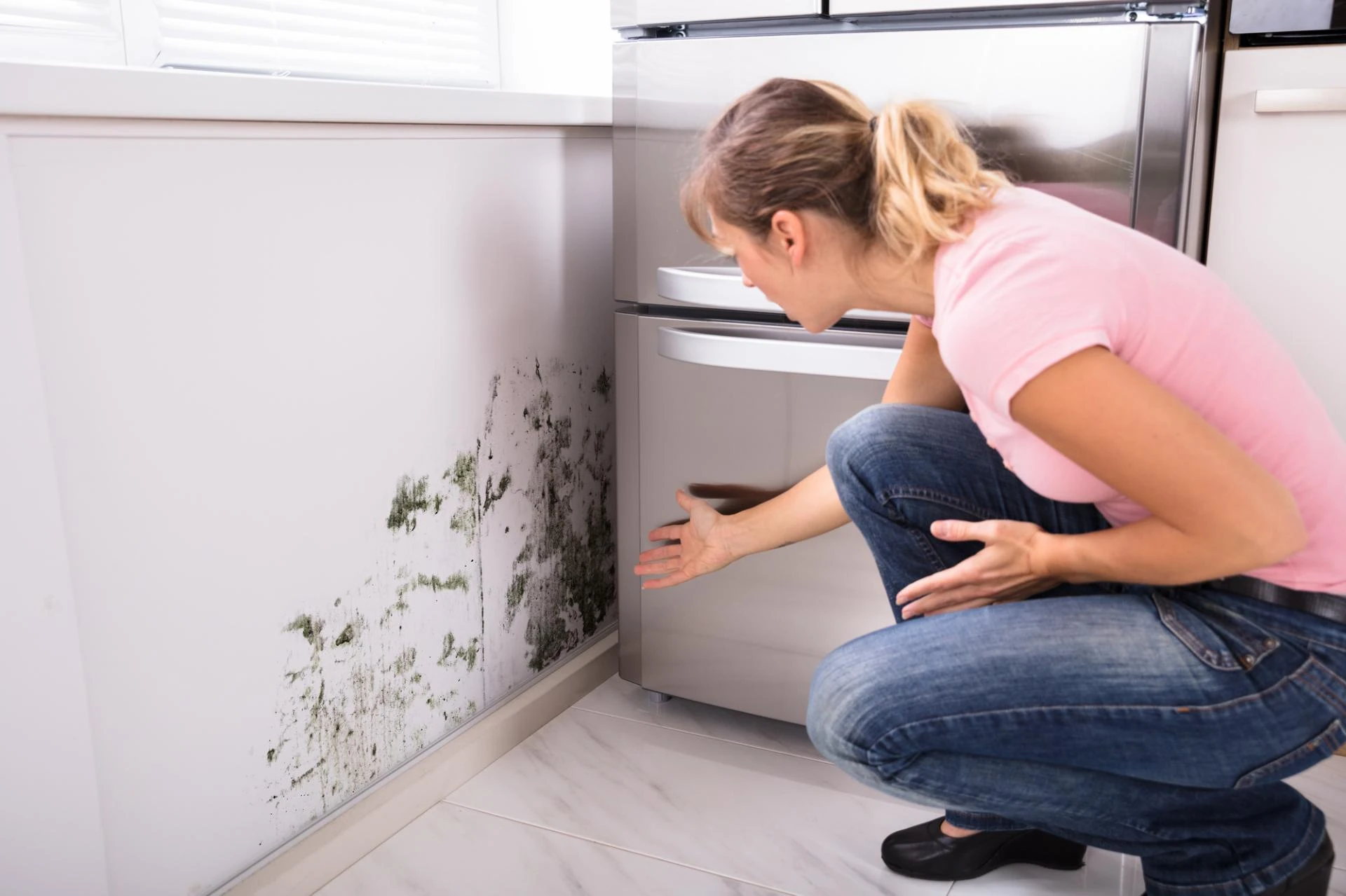 Preventing Mold Regrowth Tips for Long-Term Mold Prevention