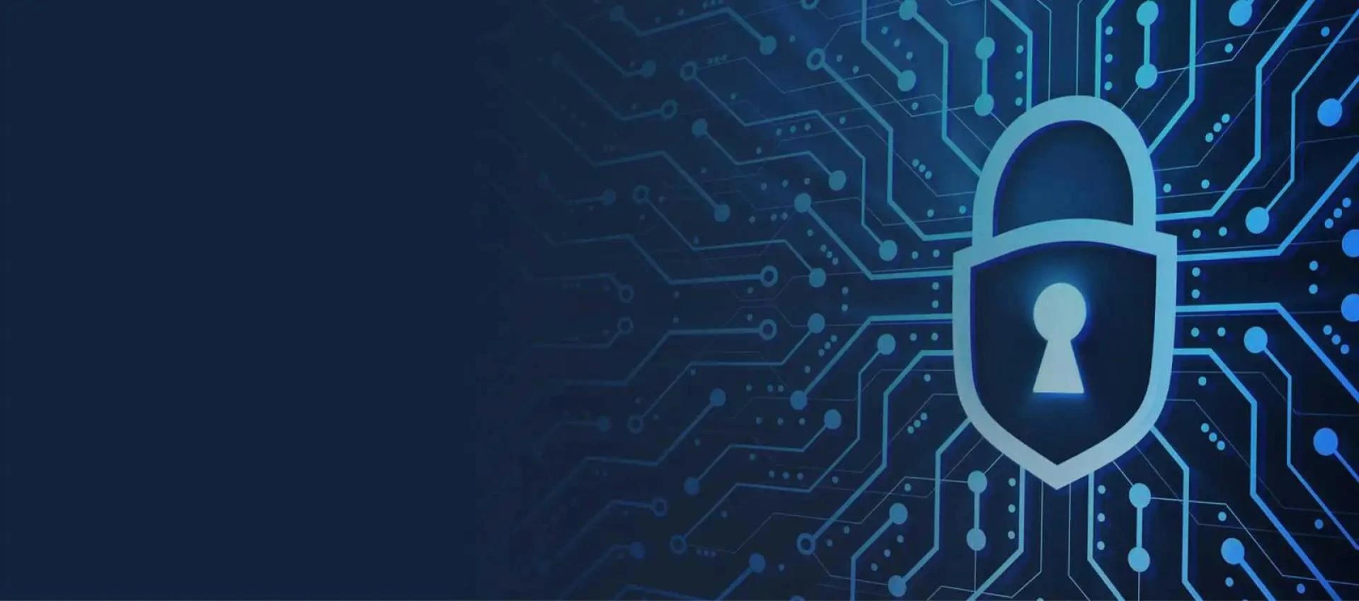 Navigating the Digital Age: The Imperative of Cybersecurity and a Comparative Analysis